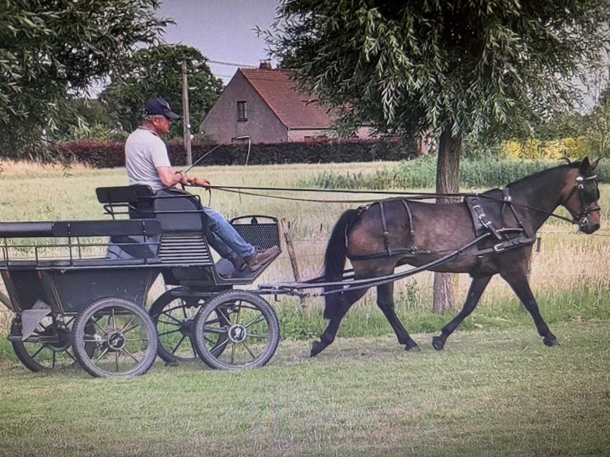 Paardemennen in Bulskampveld voor 2 personen